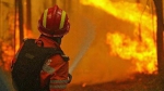 葡萄牙森林大火被完全控制：已致64死250多人伤 - 广东电视网