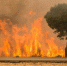 西班牙一自然保护区火灾 周边逾1500人被疏散 - News.Ycwb.Com