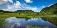 武隆“全域增绿” 到2021年森林覆盖率将达65% - Southcn.Com