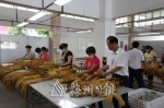 在松源烟叶工作点收购现场，工作人员正在对烟叶进行专业化分级、评级、过磅、打包等。 - Meizhou.Cn