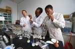 资料图：在吉林农业大学，教授（左一）带领两名南非留学生做实验。新华社记者张楠摄 - News.21cn.Com