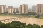暴雨袭从化，多处水浸街 - 广东大洋网