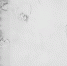 欧航局发布冰山一角卫星图象 南极冰架临近崩解 - News.Ycwb.Com