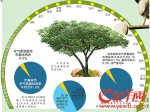 广东上半年空气质量优良率91.6% - 广东电视网