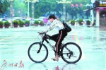 昨日，东莞城区雨水不断。广州日报全媒体记者卢政 摄 - 新浪广东