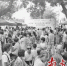 7月21日上午，“最美天使志愿者服务队”在麻涌镇麻一村开展义诊活动，共吸引近千名市民前来问诊。 南方日报记者 孙俊杰 摄 - 新浪广东