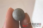 直径1厘米左右的小石球 - 新浪广东