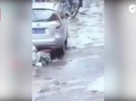 女子骑电动车二次碾压小孩后逃离 - 新浪广东