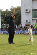 “少年警察梦”第三期夏令营开班 “小警察”们整装待发！ - Southcn.Com