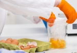 部分鸡蛋检出高浓度杀虫剂。 图片来源：法新社 - News.Ycwb.Com