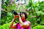 这位全职妈妈拍出广州首份赏花指南 - 广东大洋网