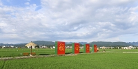 【绿色发展 绿色生活】湖南安仁：“稻田公园”催生绿色生活的“强富美” - Southcn.Com
