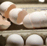 荷兰媒体报道，荷兰部分农场已使用混合的有害杀虫药长达超过1年，其中一家生产商的客户遍及英国、法国和波兰，但无证据显示在这三个国家出售的鸡蛋受到污染。 - News.Ycwb.Com