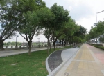 番禺又多了个微型休闲公园，将现千米长粉紫荆景观 - 广东大洋网