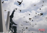 日本长崎和平纪念公园内放飞和平鸽。 - News.Ycwb.Com