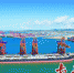 湛江全力建设世界级散货母港和邮轮码头 - 新浪广东