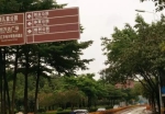 科丰路（光谱东路-开泰大道）围蔽施工，司机大佬注意咯！ - 广东大洋网