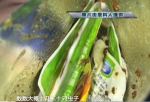 广州男子购买零食发现大量蛆虫 还流着黑汁水(图) - 新浪广东