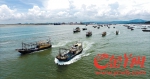 千艘渔船从博贺港启程 - 广东电视网