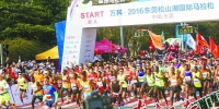 首届东莞国际马拉松赛场，起跑枪声响起，选手们向前冲。南方日报记者 孙俊杰 摄 - 新浪广东