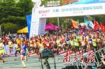 首届东莞国际马拉松赛场，起跑枪声响起，选手们向前冲。南方日报记者 孙俊杰 摄 - 新浪广东