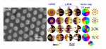 高兴森教授课题组在《Science Advances》发表论文 - 华南师范大学