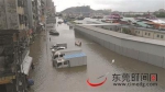 虎门海水倒灌，多辆车被淹 - 新浪广东