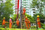 昨日，禅城园林队在绿景一路绿化带上扶种被台风吹倒的树木。/佛山日报见习记者吕润致摄 - 新浪广东