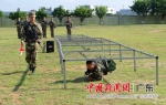 广东武警新训干部骨干在武警广东总队东莞训练基地集训 - 新浪广东