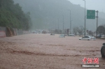 四川雅安市遭强降雨袭击，已致雅安境内多地受灾，车辆被洪水淹没。 四川雅安消防 供图 - 新浪广东