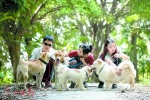 最严整治 养犬登记量月增8倍 - 广东大洋网