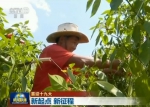 【喜迎十九大】这五年百姓获得满满幸福感 - 广东电视网