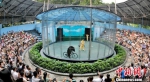 广州动物园动物行为展示馆从前进行动物表演（资料图）通讯员供图 - 新浪广东