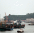 在饶平县三百门渔港，船只纷纷驶回避风港。 - 新浪广东