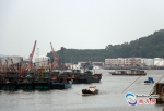 在饶平县三百门渔港，船只纷纷驶回避风港。 - 新浪广东
