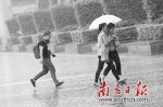 图为5日深圳罗湖区街头，大雨缓解了闷热。南方日报记者 朱洪波 摄 - 新浪广东