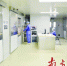 东莞最大血液病实验室建成 造血干细胞移植全过程可在本地完成 - Southcn.Com