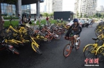 8月3日，北京街头的共享单车。中新社记者 侯宇 摄 - News.21cn.Com