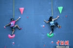 第十三届全运会群众项目攀岩决赛女子随机速度赛比赛现场。 陈超 摄 - 广东电视网