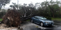 飓风"艾尔玛"登陆美国佛州 大树被连根拔起 - News.Ycwb.Com