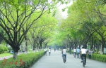 今起大夫山公园部分区域限行单车 - 广东大洋网