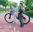 今后广东新建城市道路必须设置自行车道 - 广东电视网
