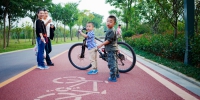 今后广东新建城市道路必须设置自行车道 - 广东电视网