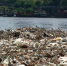 资料图：受长江上游强降雨影响，长江重庆段江面上出现大量垃圾。 周毅 摄 - 新浪广东