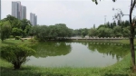 番禺桥南街南区公园这里将打造2000平方米桃花林 - 广东大洋网