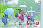 24日上午，深圳罗湖区，一场短时强降水突然来袭。南方日报记者 朱洪波 摄 - 新浪广东