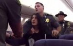 美西南航空乘客因对宠物过敏 被警察强行带下飞机 - News.Ycwb.Com