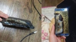 iPhone 8充电时爆裂 电池生产商或与三星Note 7相同 - News.Timedg.Com