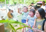 国庆中秋长假第二天，广州各大旅游景点火爆。图为广州动物园，家长带着小朋友喂动物。  南方日报记者 张梓望 摄 - 新浪广东