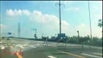 鸵鸟在高速路上狂奔。截图为网友拍摄 - 新浪广东